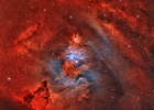 NGC 2264.bmp